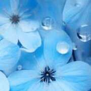 ヒメ日記 2025/09/24 21:05 投稿 まり ニューヨークニューヨーク