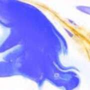 ヒメ日記 2025/10/01 20:11 投稿 まり ニューヨークニューヨーク