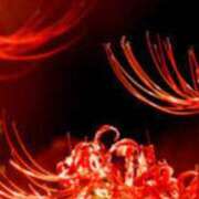 ヒメ日記 2025/10/05 17:33 投稿 まり ニューヨークニューヨーク