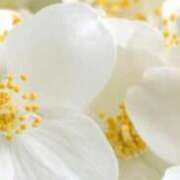 ヒメ日記 2025/10/09 19:23 投稿 まり ニューヨークニューヨーク