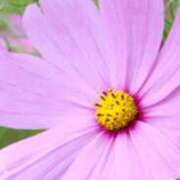 ヒメ日記 2025/10/12 18:48 投稿 まり ニューヨークニューヨーク