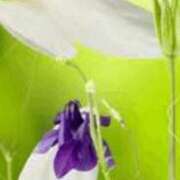 ヒメ日記 2025/10/29 22:02 投稿 まり ニューヨークニューヨーク