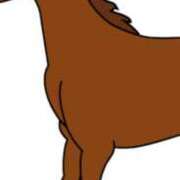 ヒメ日記 2025/11/01 19:54 投稿 まり ニューヨークニューヨーク