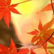 ヒメ日記 2025/11/05 20:13 投稿 まり ニューヨークニューヨーク