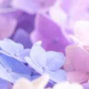 ヒメ日記 2025/11/06 21:48 投稿 まり ニューヨークニューヨーク