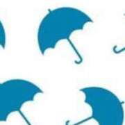 ヒメ日記 2025/11/08 20:27 投稿 まり ニューヨークニューヨーク