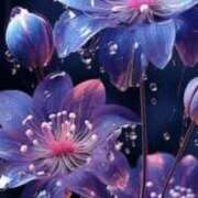 ヒメ日記 2025/11/16 19:49 投稿 まり ニューヨークニューヨーク