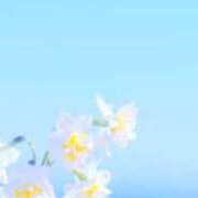 ヒメ日記 2025/11/19 22:45 投稿 まり ニューヨークニューヨーク