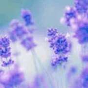 ヒメ日記 2025/11/22 18:49 投稿 まり ニューヨークニューヨーク