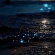 ヒメ日記 2025/11/26 21:15 投稿 まり ニューヨークニューヨーク