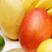 ヒメ日記 2025/11/29 19:09 投稿 まり ニューヨークニューヨーク