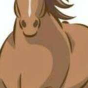 ヒメ日記 2025/11/30 22:15 投稿 まり ニューヨークニューヨーク