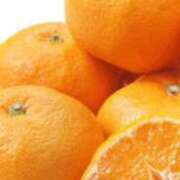 ヒメ日記 2025/12/03 18:40 投稿 まり ニューヨークニューヨーク