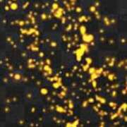 ヒメ日記 2025/12/04 20:12 投稿 まり ニューヨークニューヨーク