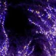 ヒメ日記 2025/12/06 20:45 投稿 まり ニューヨークニューヨーク