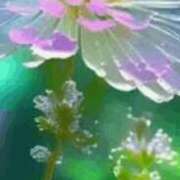 ヒメ日記 2025/12/07 21:31 投稿 まり ニューヨークニューヨーク