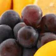 ヒメ日記 2025/12/17 20:35 投稿 まり ニューヨークニューヨーク