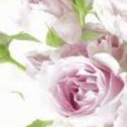 ヒメ日記 2025/12/17 22:27 投稿 まり ニューヨークニューヨーク