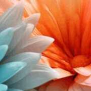 まり まりノ句 ニューヨークニューヨーク