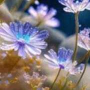 ヒメ日記 2025/12/24 21:31 投稿 まり ニューヨークニューヨーク