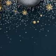 ヒメ日記 2025/12/25 16:10 投稿 まり ニューヨークニューヨーク