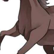 ヒメ日記 2025/12/27 19:00 投稿 まり ニューヨークニューヨーク