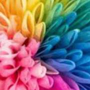 ヒメ日記 2025/12/28 21:21 投稿 まり ニューヨークニューヨーク