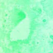 ヒメ日記 2026/01/18 14:13 投稿 まり ニューヨークニューヨーク