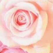 ヒメ日記 2026/01/28 21:31 投稿 まり ニューヨークニューヨーク