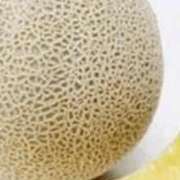 ヒメ日記 2026/01/31 22:01 投稿 まり ニューヨークニューヨーク