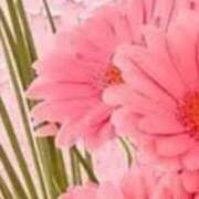 ヒメ日記 2026/02/04 21:30 投稿 まり ニューヨークニューヨーク