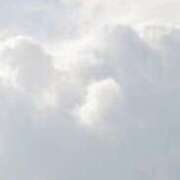 ヒメ日記 2026/02/07 17:41 投稿 まり ニューヨークニューヨーク