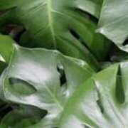 ヒメ日記 2026/02/12 21:30 投稿 まり ニューヨークニューヨーク