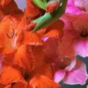 ヒメ日記 2026/02/14 19:44 投稿 まり ニューヨークニューヨーク