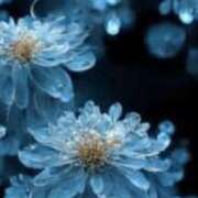 ヒメ日記 2026/02/18 22:22 投稿 まり ニューヨークニューヨーク