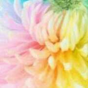 ヒメ日記 2026/02/22 19:50 投稿 まり ニューヨークニューヨーク