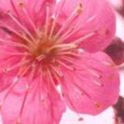 ヒメ日記 2026/02/25 18:11 投稿 まり ニューヨークニューヨーク