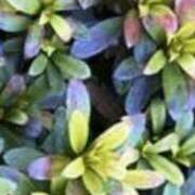 ヒメ日記 2026/02/26 20:15 投稿 まり ニューヨークニューヨーク