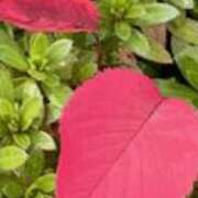 ヒメ日記 2026/02/26 22:18 投稿 まり ニューヨークニューヨーク