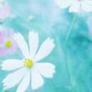 ヒメ日記 2026/03/04 18:09 投稿 まり ニューヨークニューヨーク