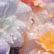 まり まりノ句 ニューヨークニューヨーク