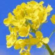 ヒメ日記 2026/03/07 21:30 投稿 まり ニューヨークニューヨーク