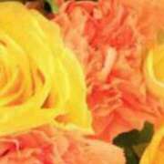 ヒメ日記 2026/03/11 21:45 投稿 まり ニューヨークニューヨーク