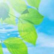 ヒメ日記 2026/03/12 22:39 投稿 まり ニューヨークニューヨーク