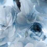 ヒメ日記 2026/03/15 19:56 投稿 まり ニューヨークニューヨーク