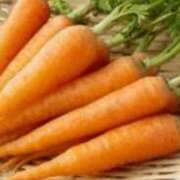 ヒメ日記 2026/03/21 17:29 投稿 まり ニューヨークニューヨーク