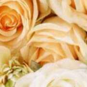 ヒメ日記 2026/03/22 18:50 投稿 まり ニューヨークニューヨーク