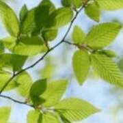 ヒメ日記 2026/03/28 20:48 投稿 まり ニューヨークニューヨーク