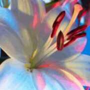 ヒメ日記 2026/04/05 21:32 投稿 まり ニューヨークニューヨーク