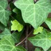 ヒメ日記 2026/04/12 13:58 投稿 まり ニューヨークニューヨーク